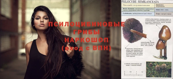 spice Белоозёрский