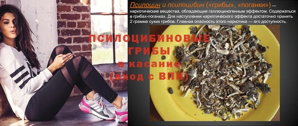 трава Беломорск