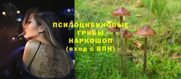 spice Белоозёрский