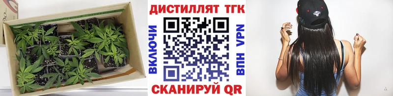 что такое Бутурлиновка ТГК Wax