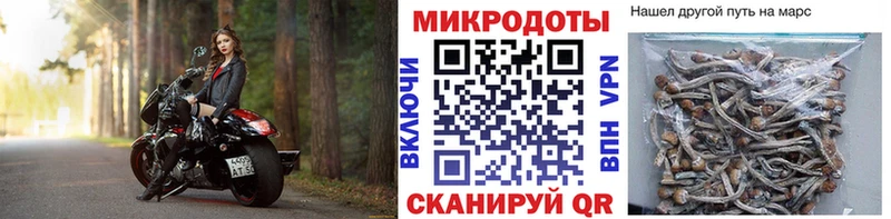 Псилоцибиновые грибы MAGIC MUSHROOMS  цены   Бутурлиновка 