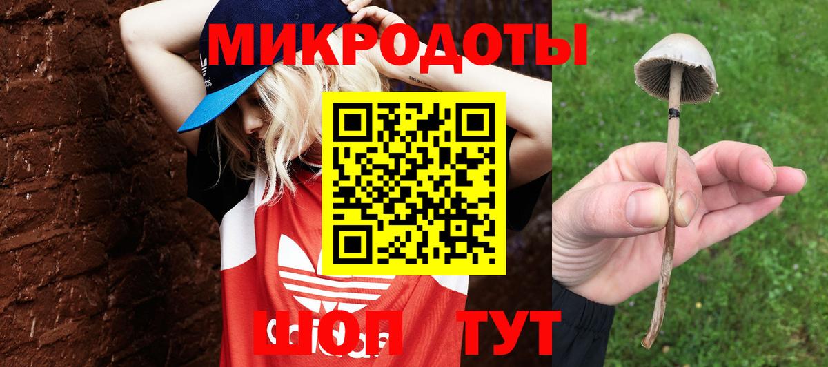 Галлюциногенные грибы Magic Shrooms Бутурлиновка
