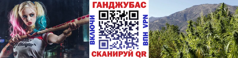 Бошки марихуана SATIVA & INDICA  как найти закладки  Бутурлиновка 